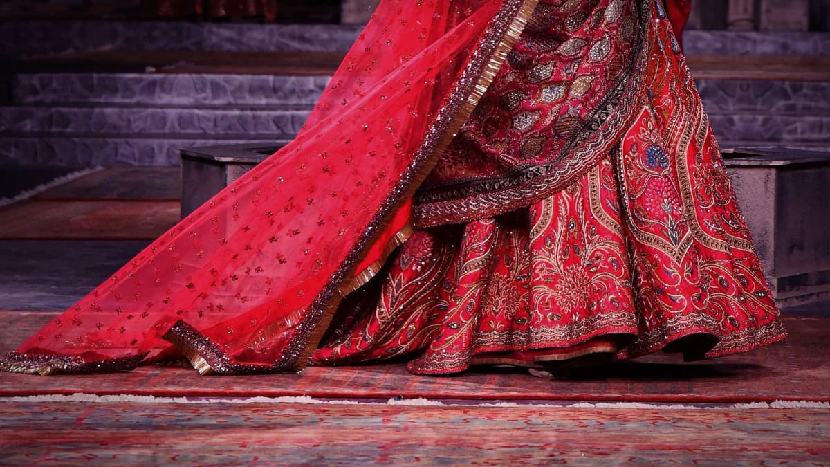 A Kanjivaram silk drape photographed against a deep red wall